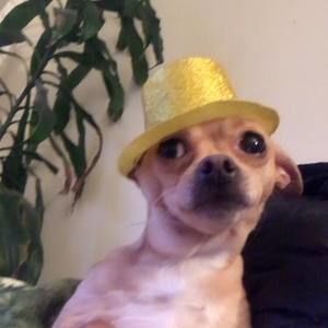 Meet your Posher, Mi vida